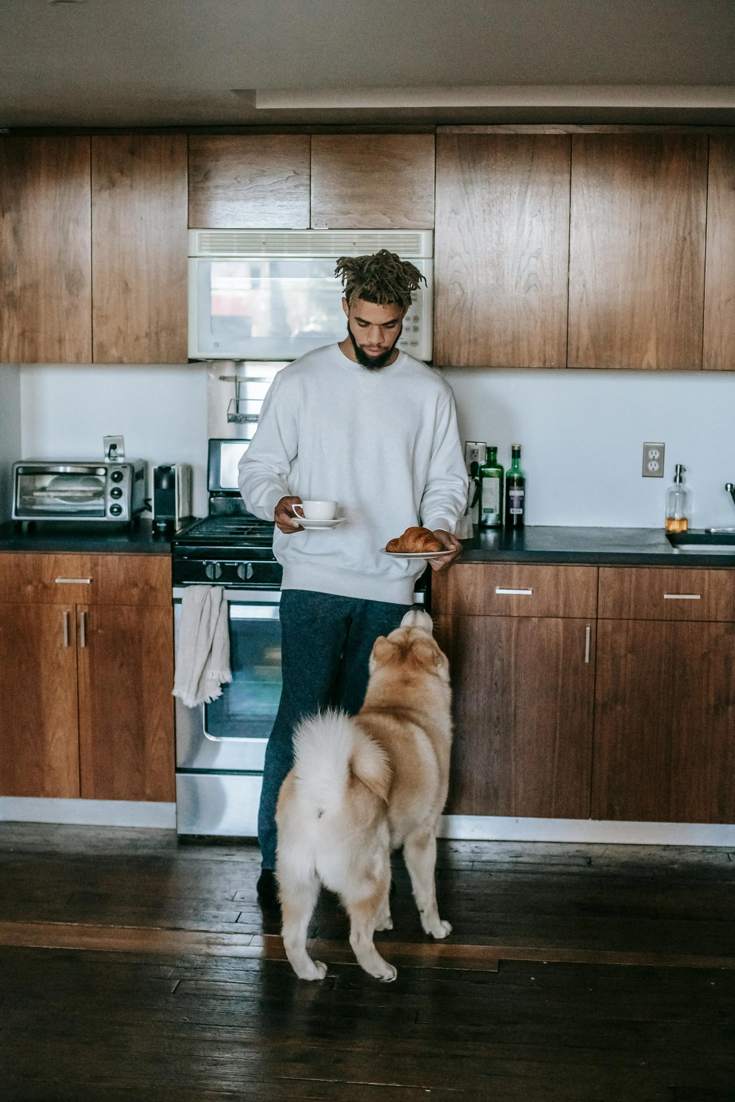 Essential Pet Care Tips: How to Keep Your Pets Happy and Healthy