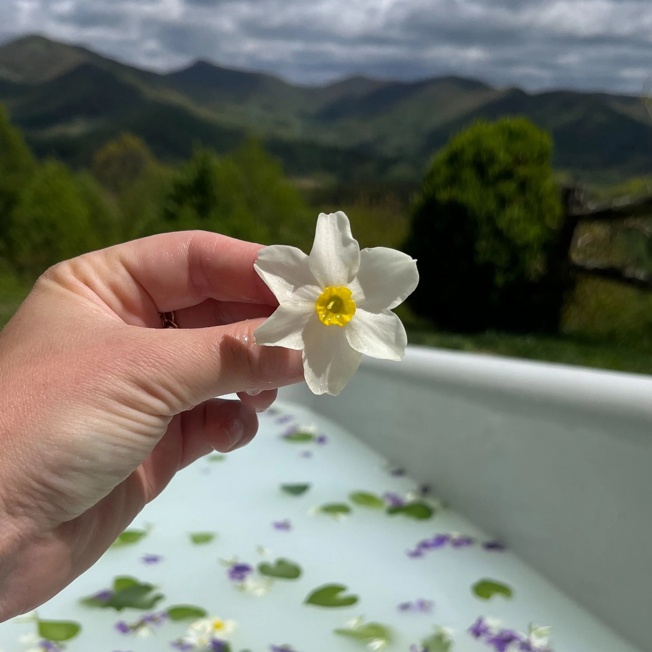 SCORPIO FULL MOON &amp; LUNAR ECLIPSE RITUAL BATH