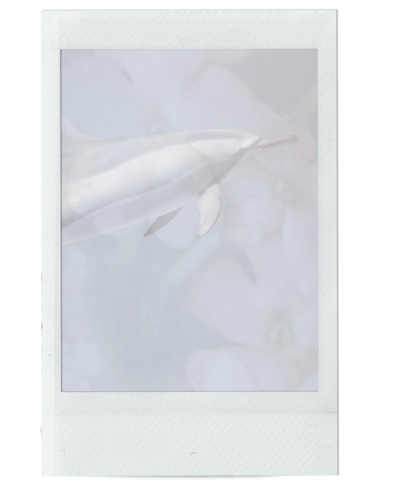 HOW TO ACTIVATE YOUR LIGHT LANGUAGE