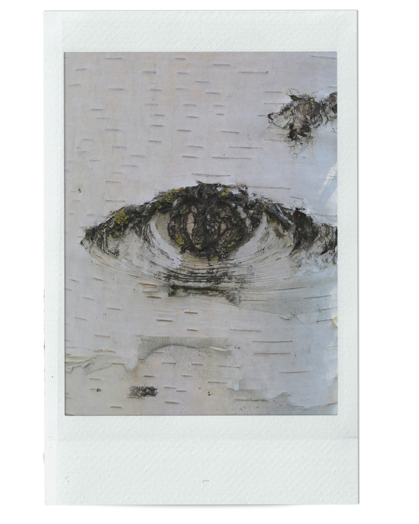 WHAT IS THE DIFFERENCE BETWEEN LIGHT LANGUAGE &amp; SOUL LANGUAGE?