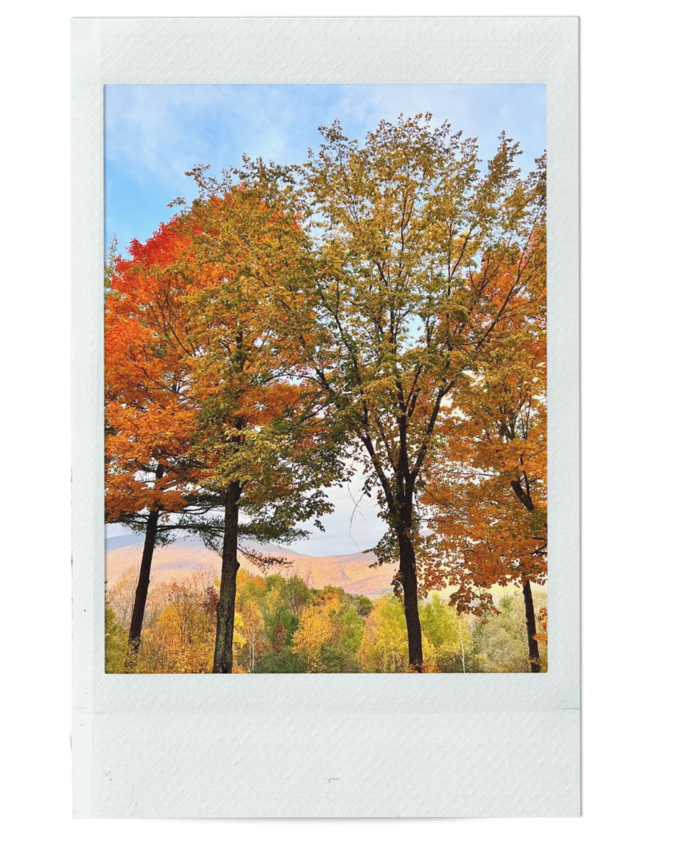 TO NO LONGER HIDE WHAT I AM