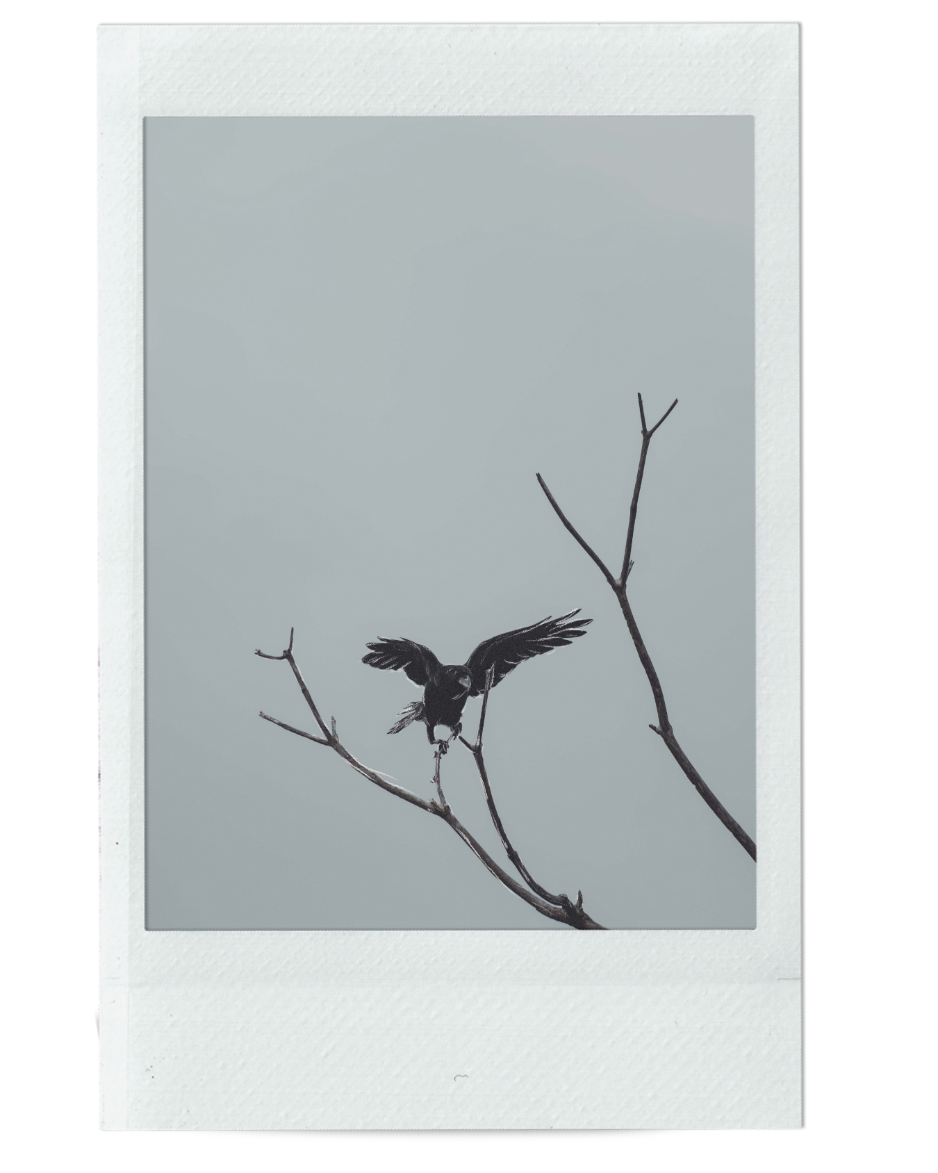 HOW TO DISMANTLE THE INTERNET TROLL