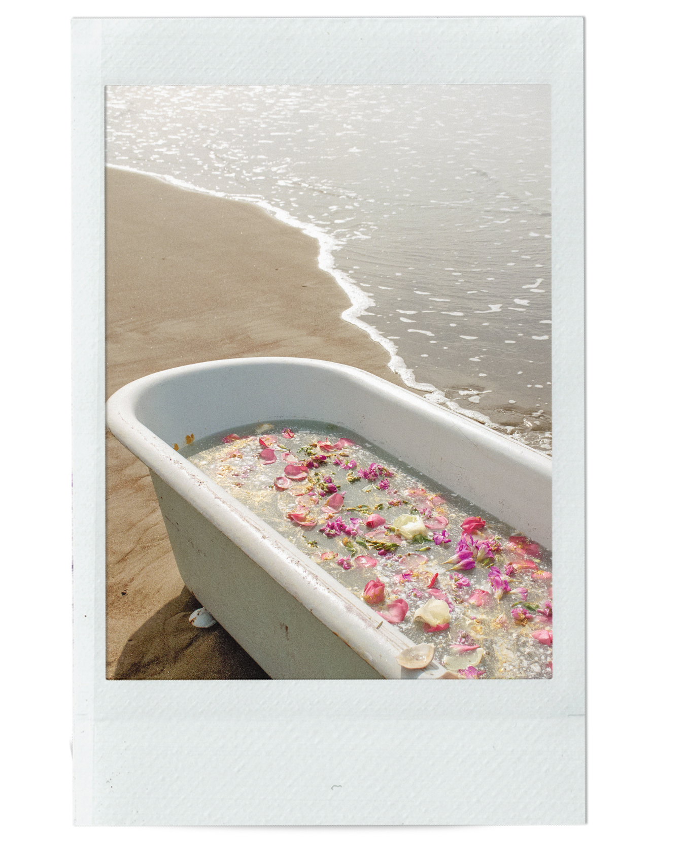 SPRING CLEAN YOUR WELLNESS ROUTINE