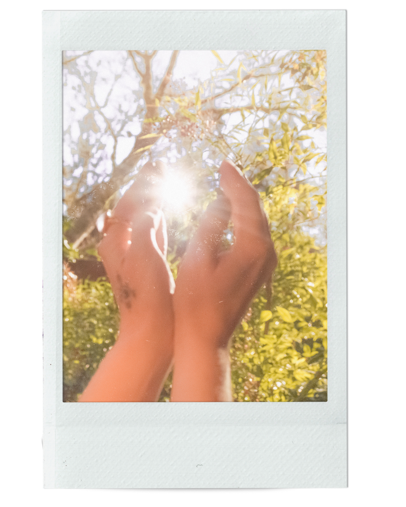 SUMMER SOLSTICE LIGHT RITUAL