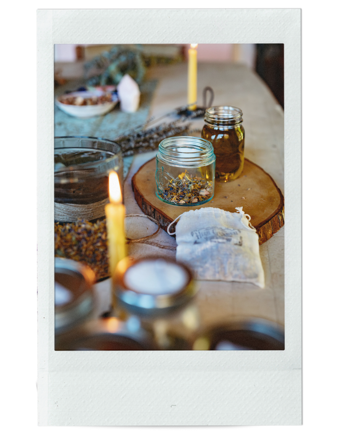 HOW TO MAKE DAISY OIL