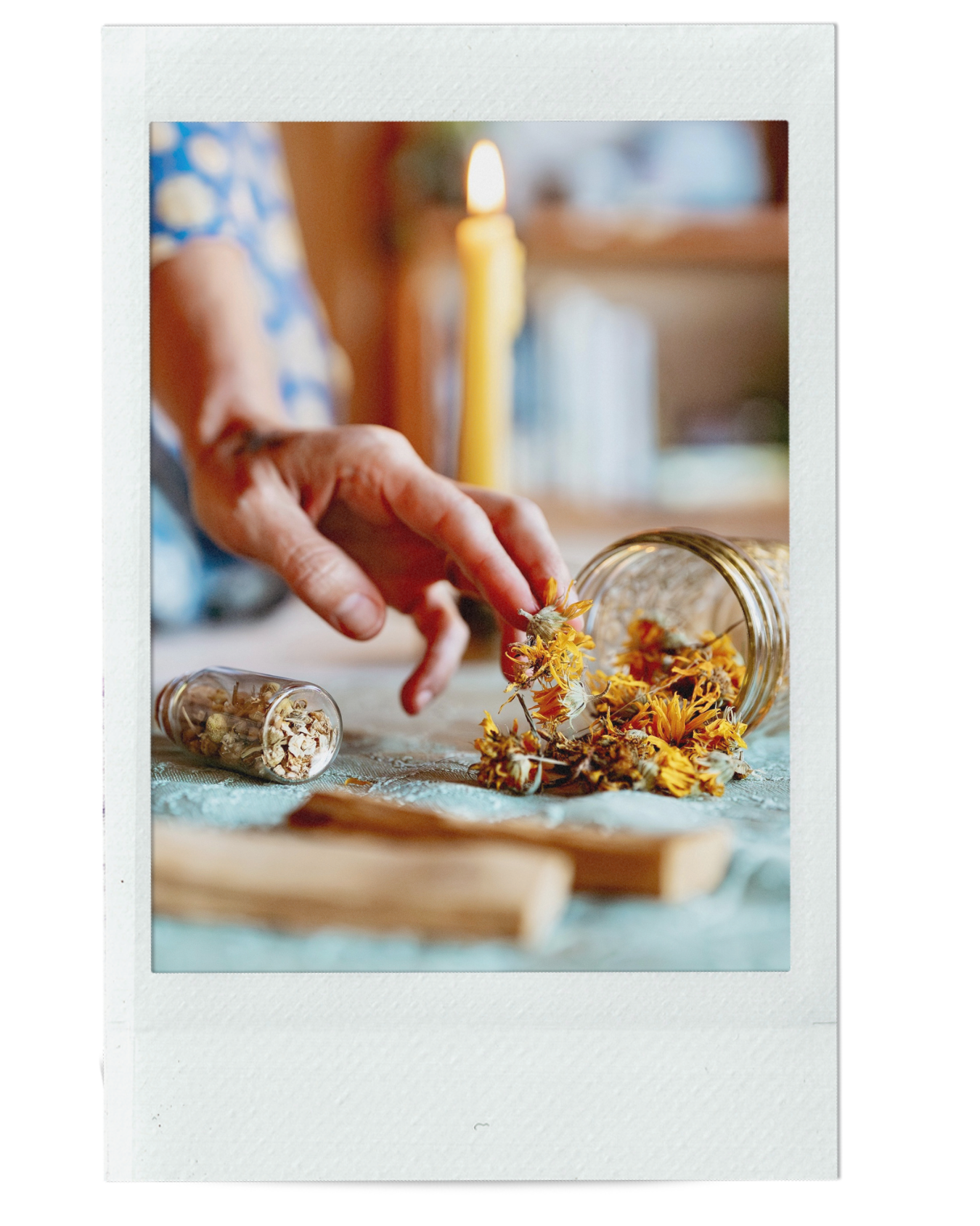 SOOTHING ROSE &amp; CALENDULA SALVE