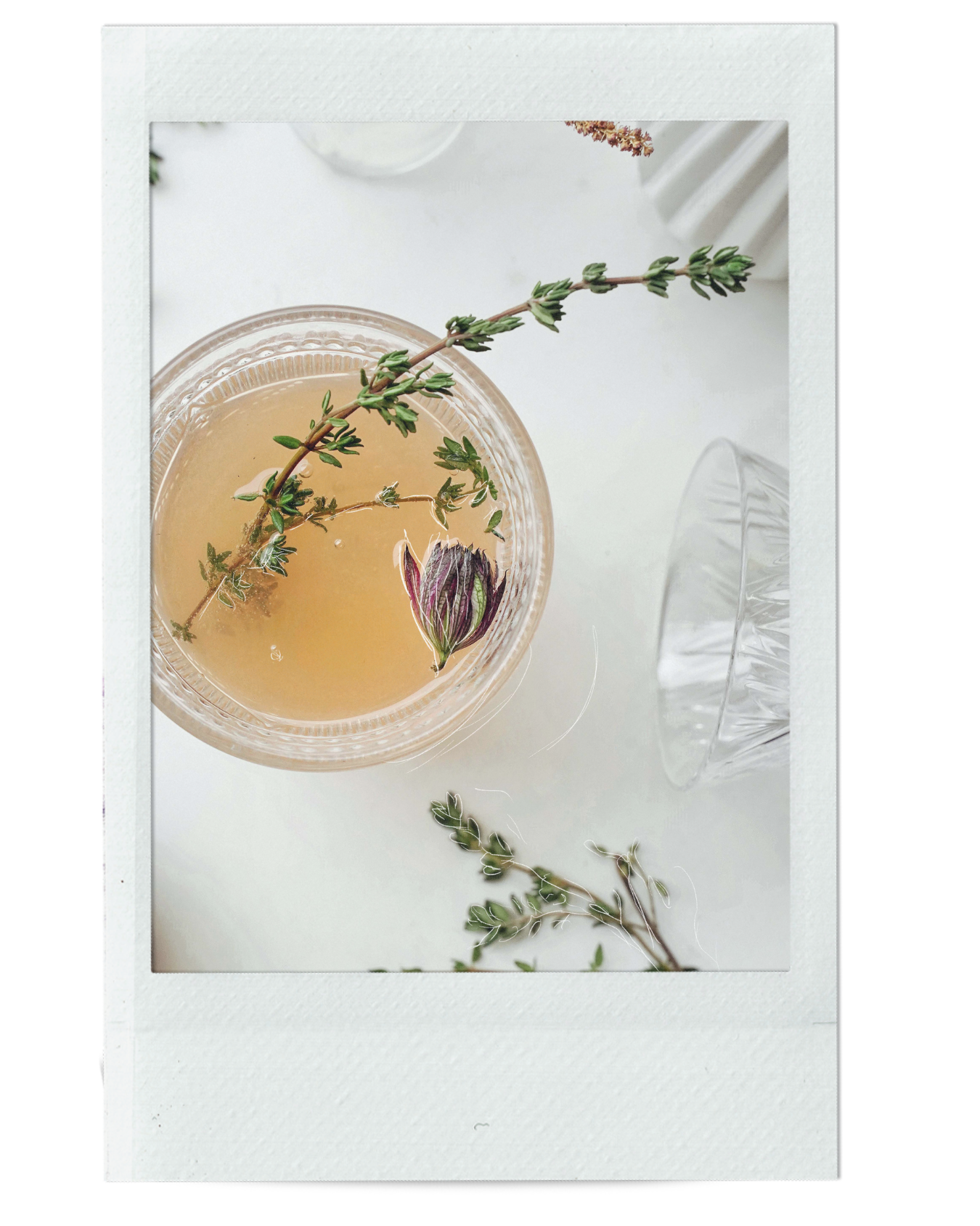 TENDER SPRING OXYMEL