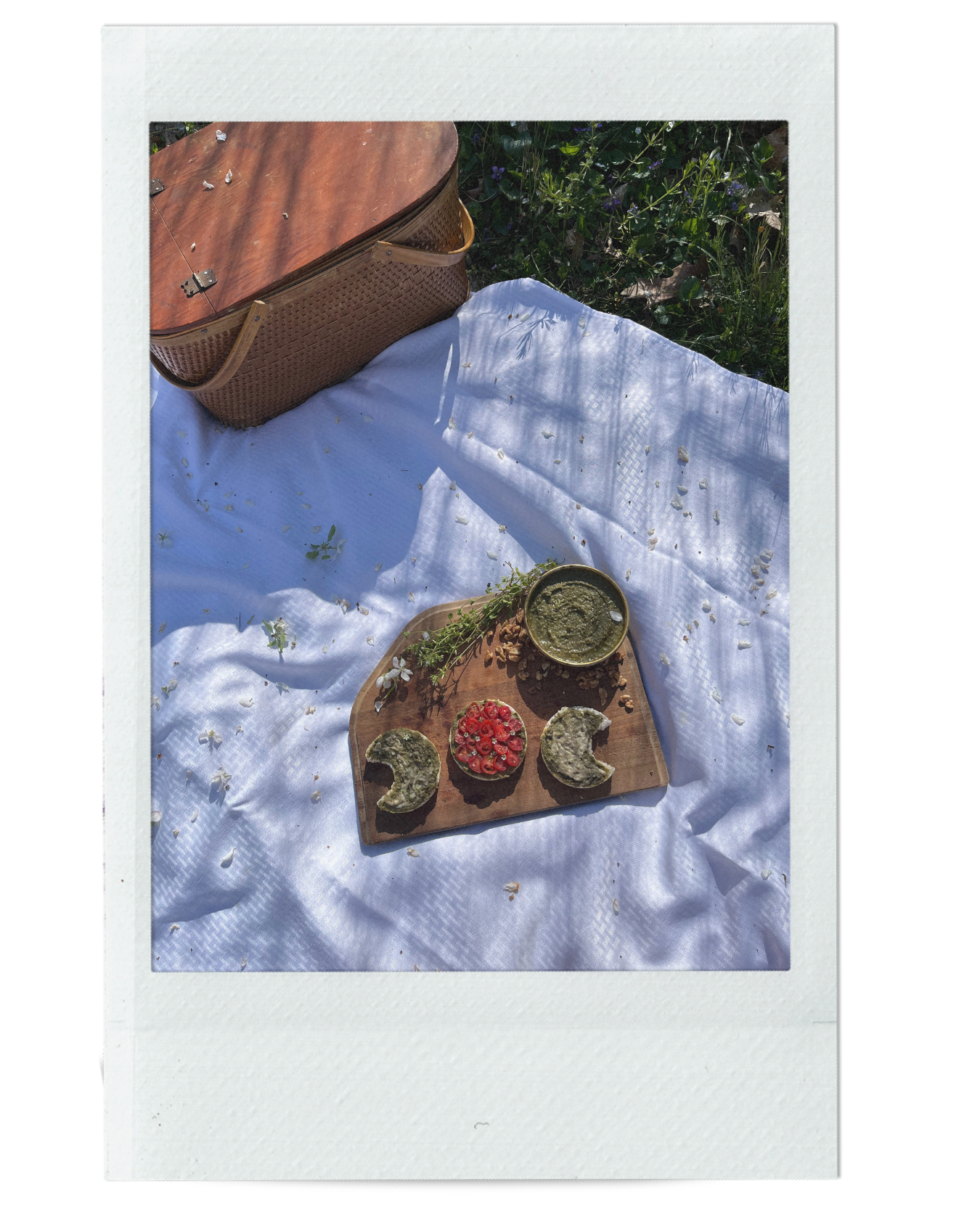 CHICKWEED PESTO RECIPE