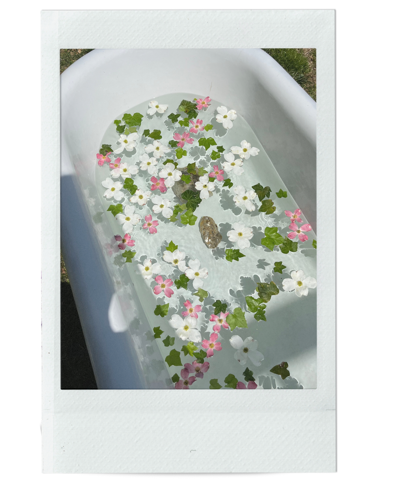 ROOT TO REFLECT MERCURY RETROGRADE RITUAL BATH