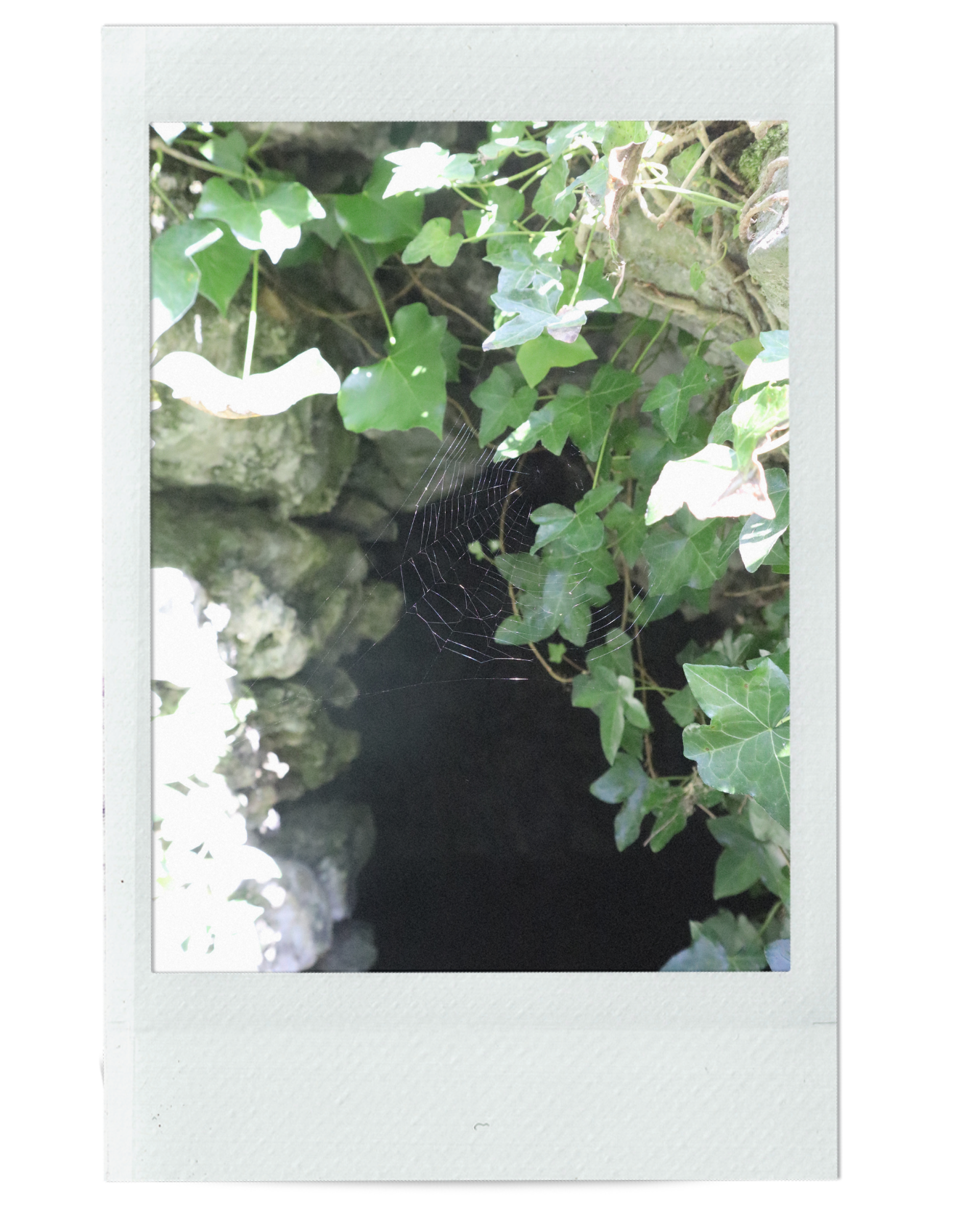 WHAT IS THE WITCH WOUND?