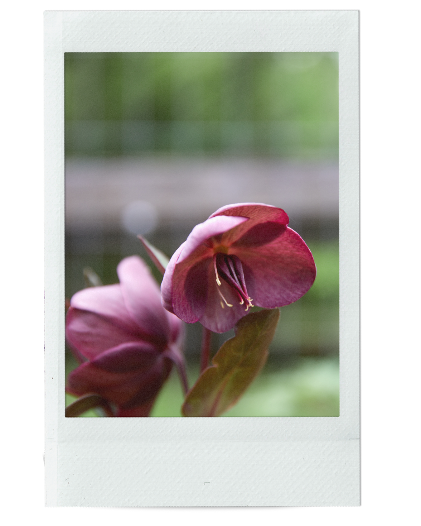 WHEN YOU DOUBT, YOU LOSE