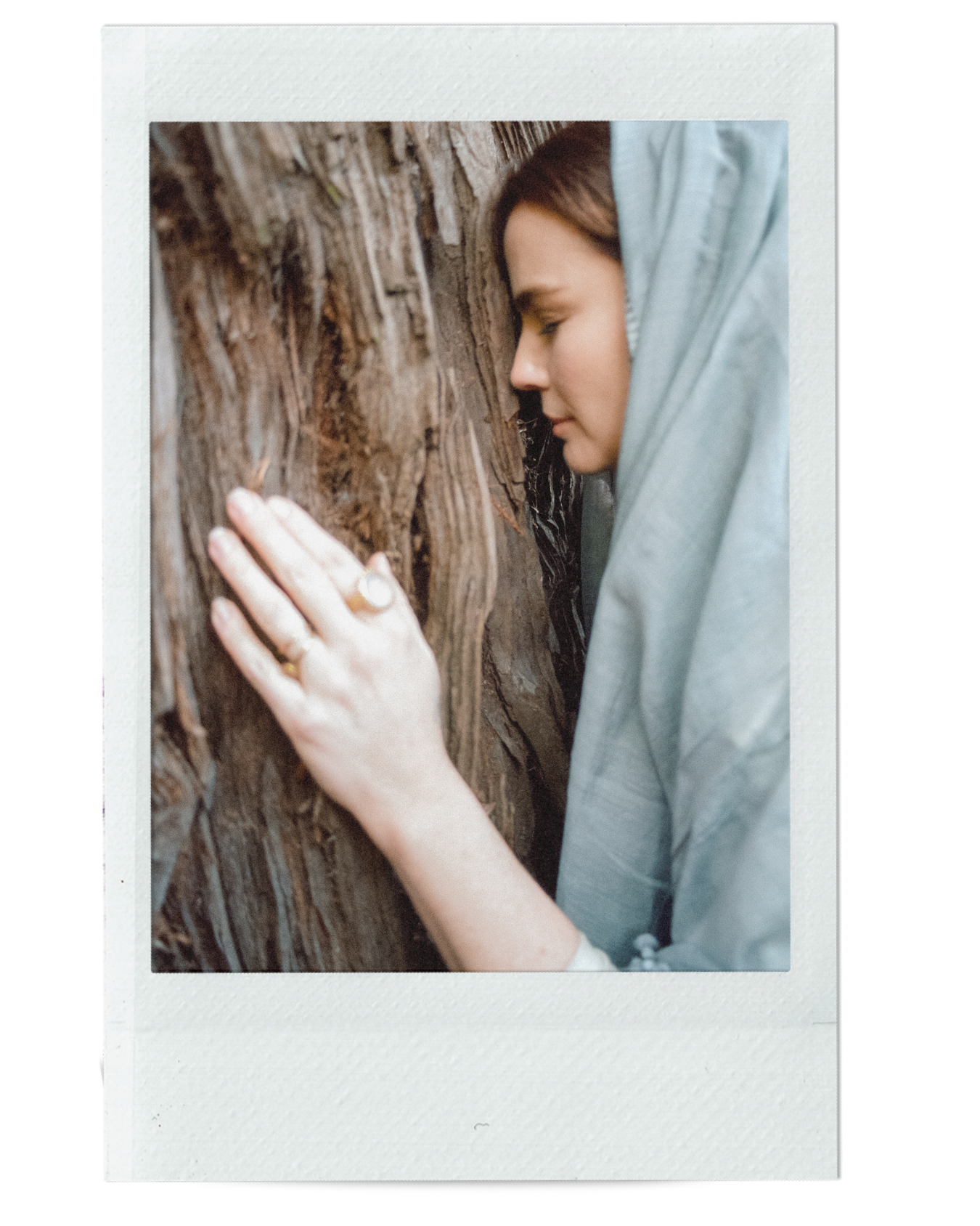 DEDICATION AS STRONG AS OAK