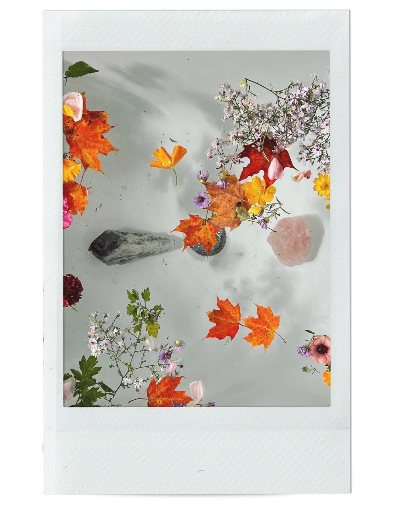 AUTUMN EQUINOX RITUAL