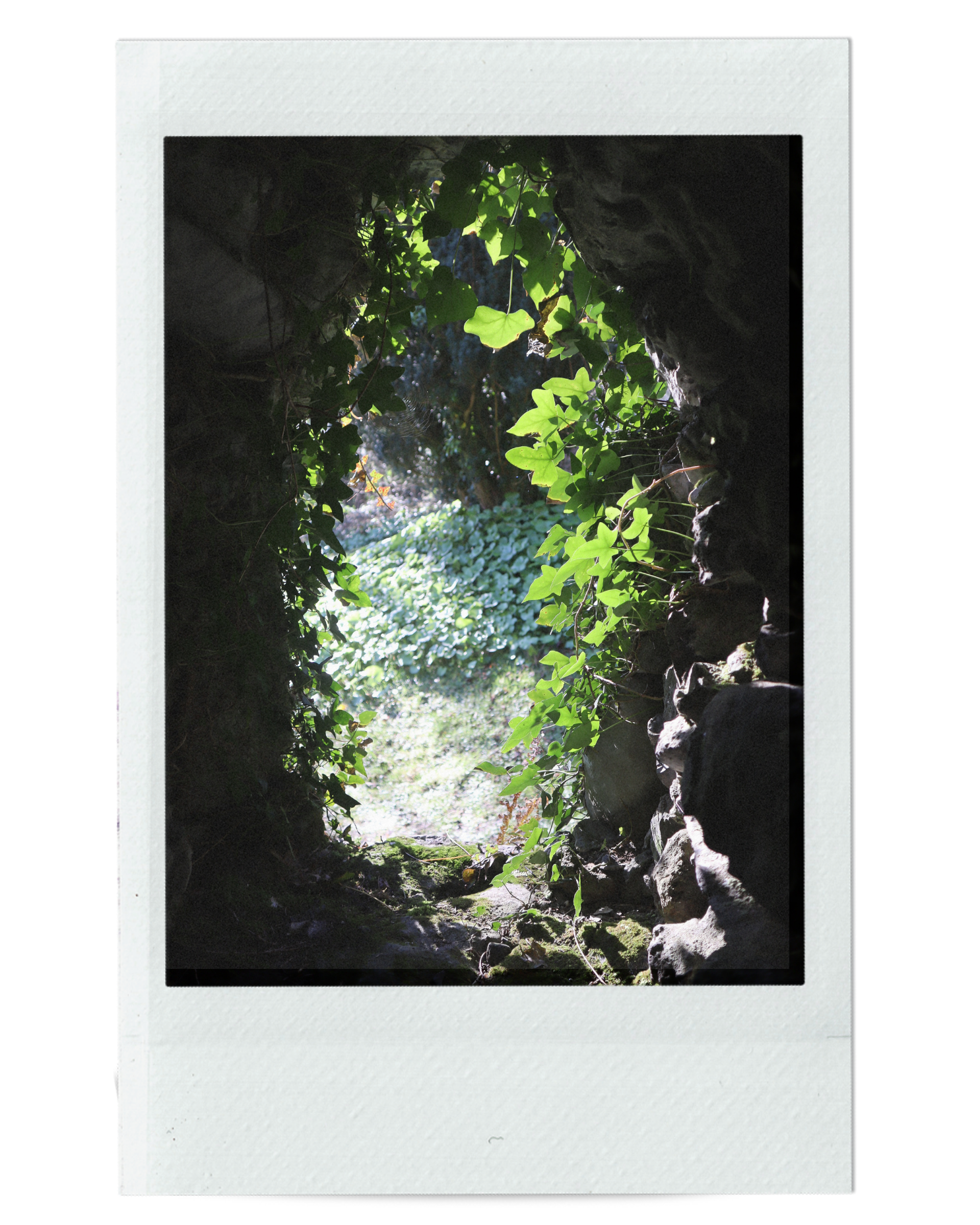 MINI MEDICINE READING