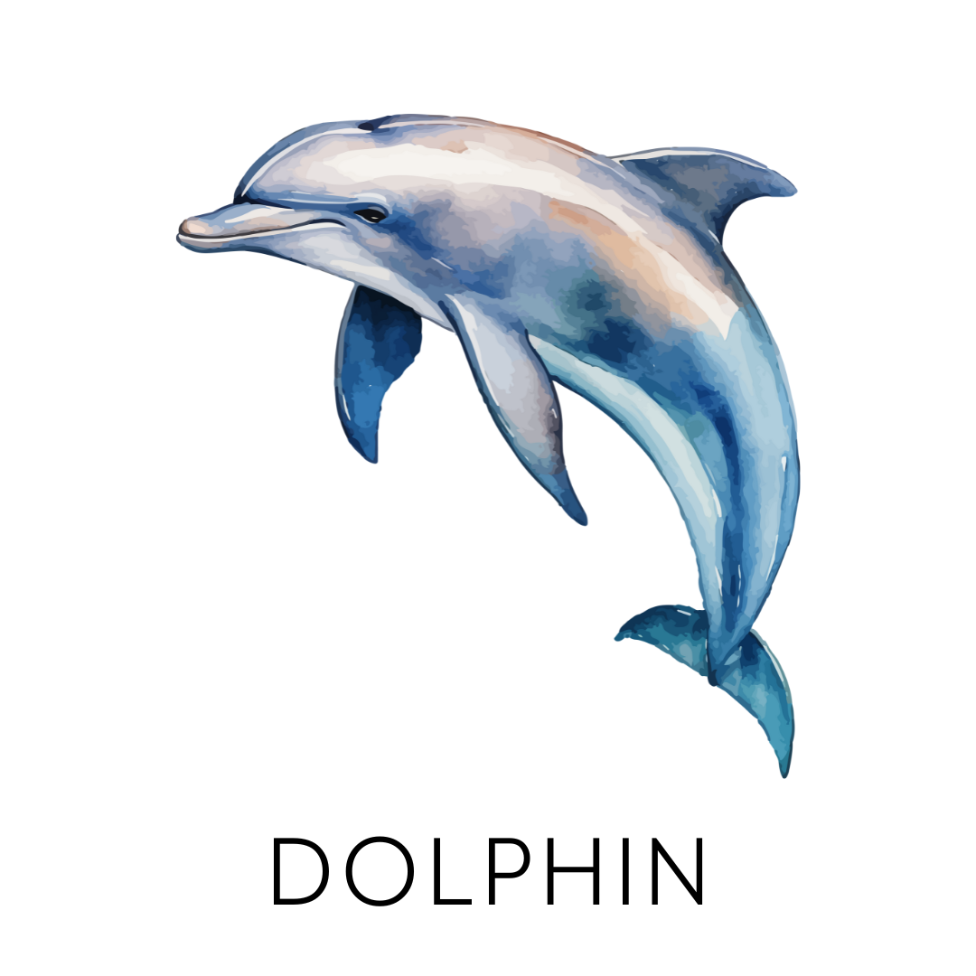 Illustration of two dolphins jumping out of the water against a black background.