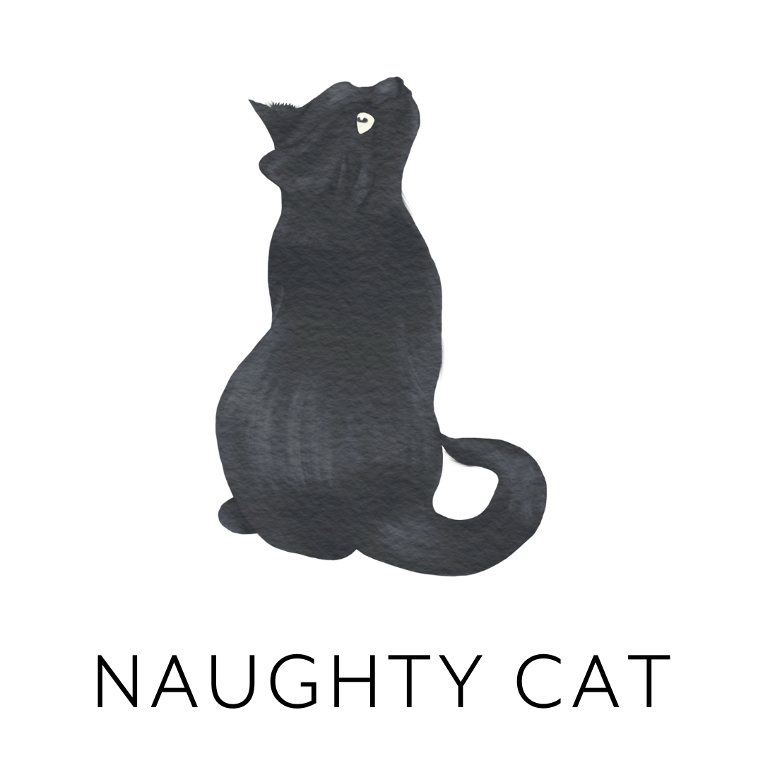 Gray cat sitting sideways with its head tilted upward, looking to the left.