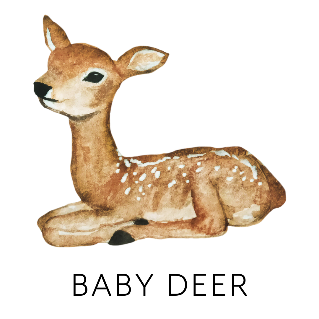 Watercolor illustration of a sleeping baby deer with white spots, lying on its stomach with eyes closed.