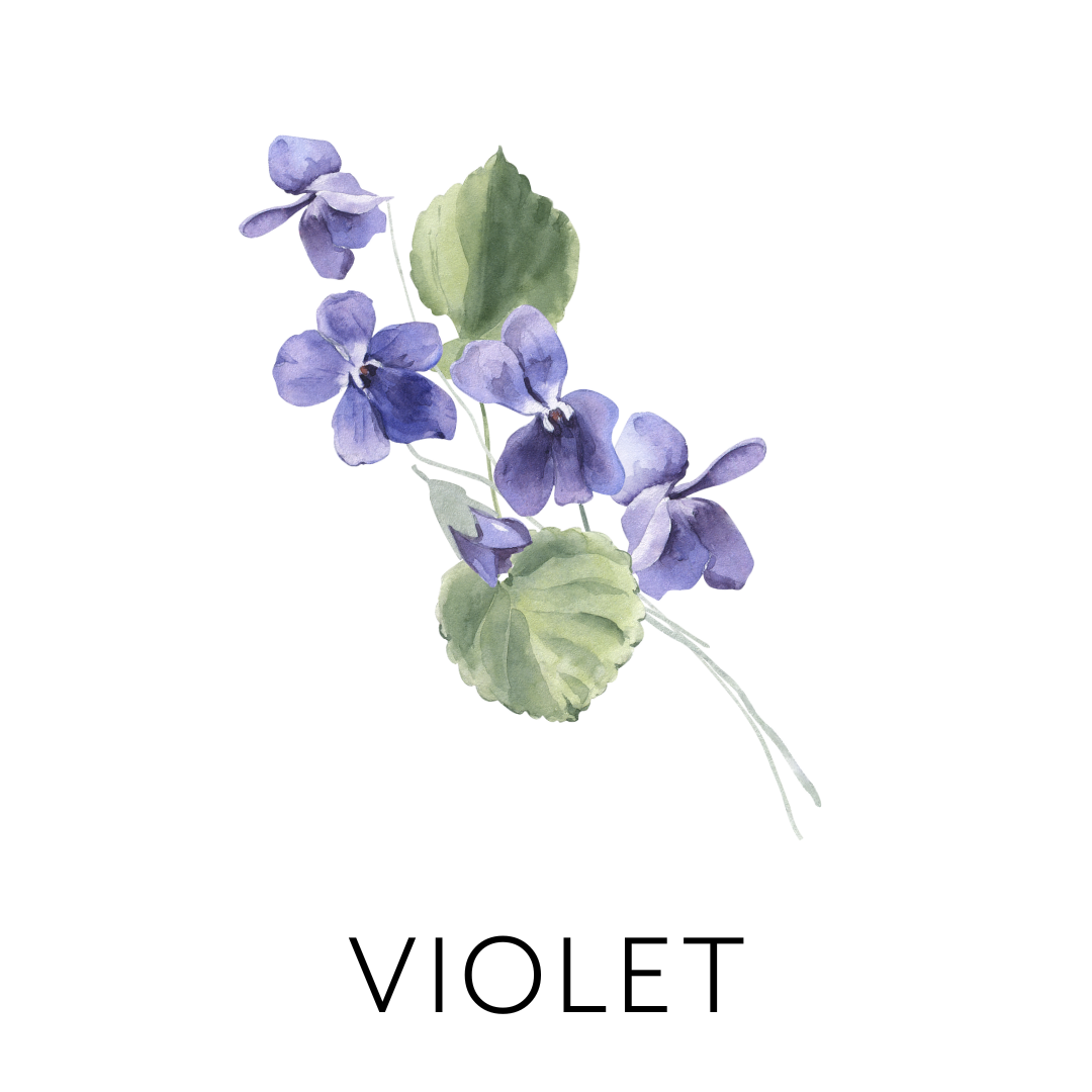 Watercolor illustration of a sprig of purple violets with green leaves.