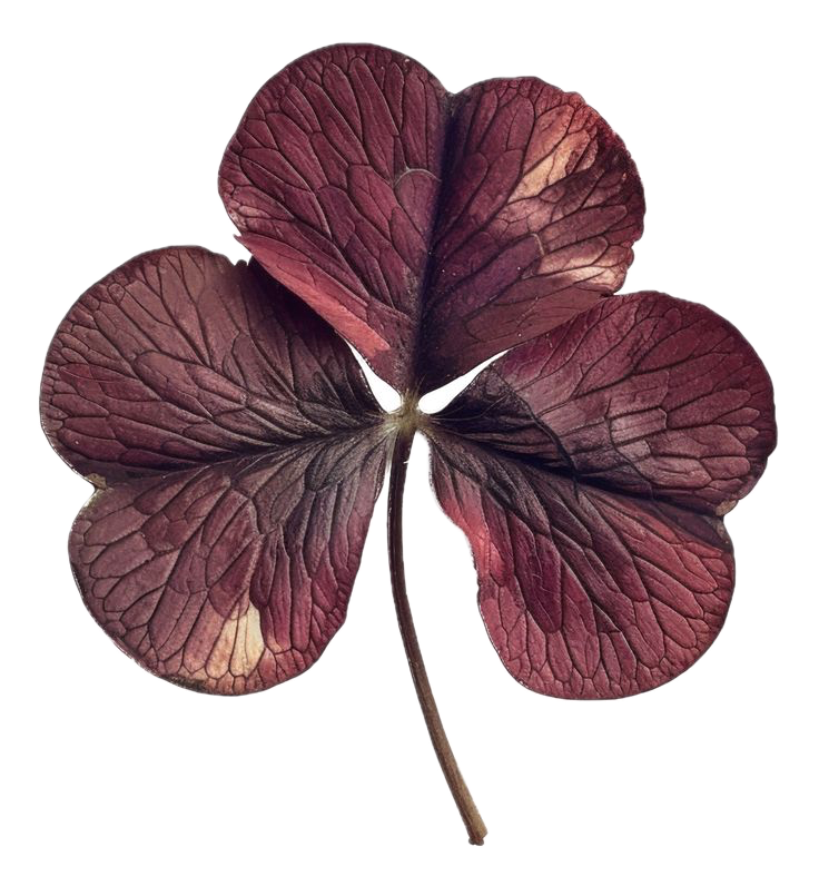 cutout of a purple flower