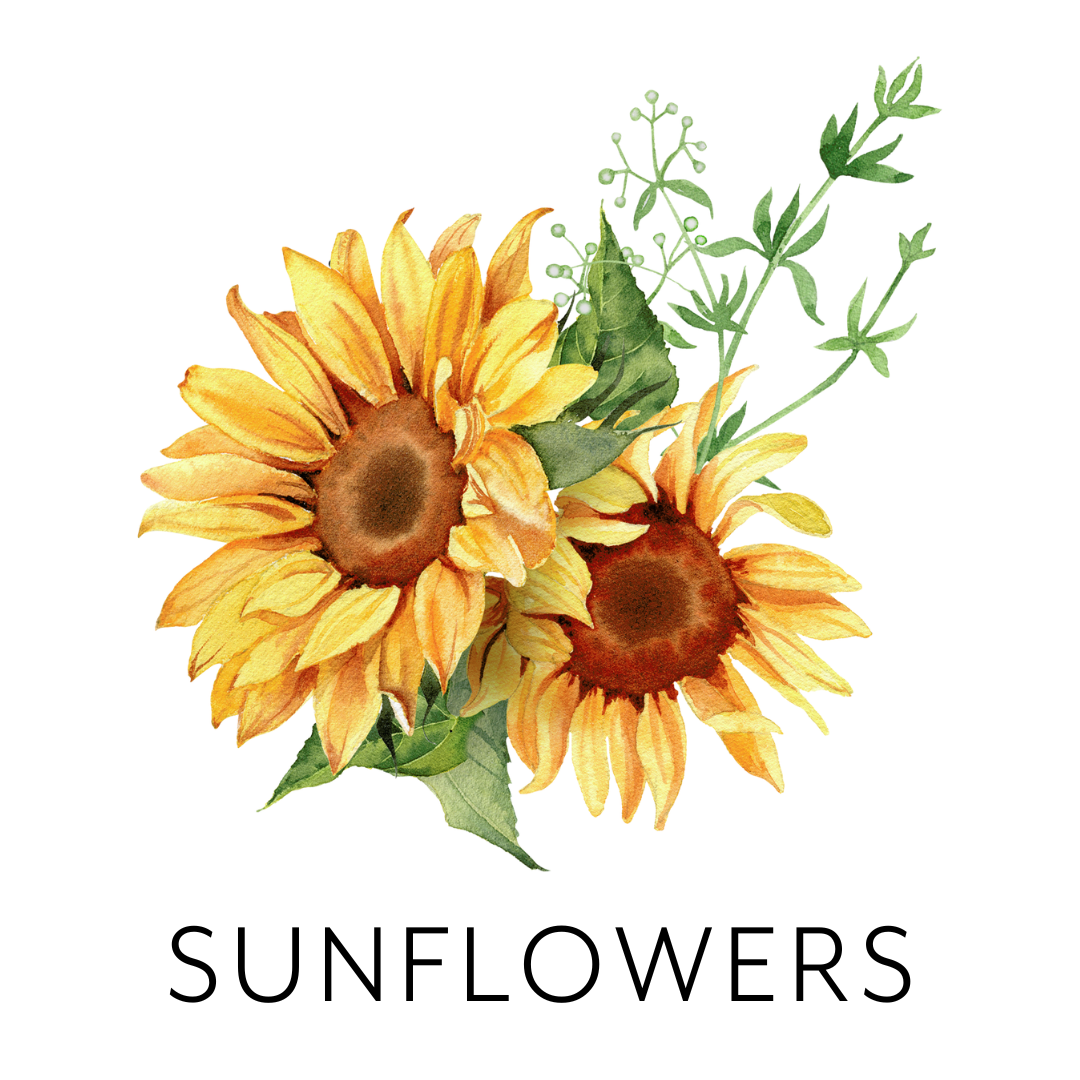 Watercolor painting of two yellow sunflowers with green leaves and stems.