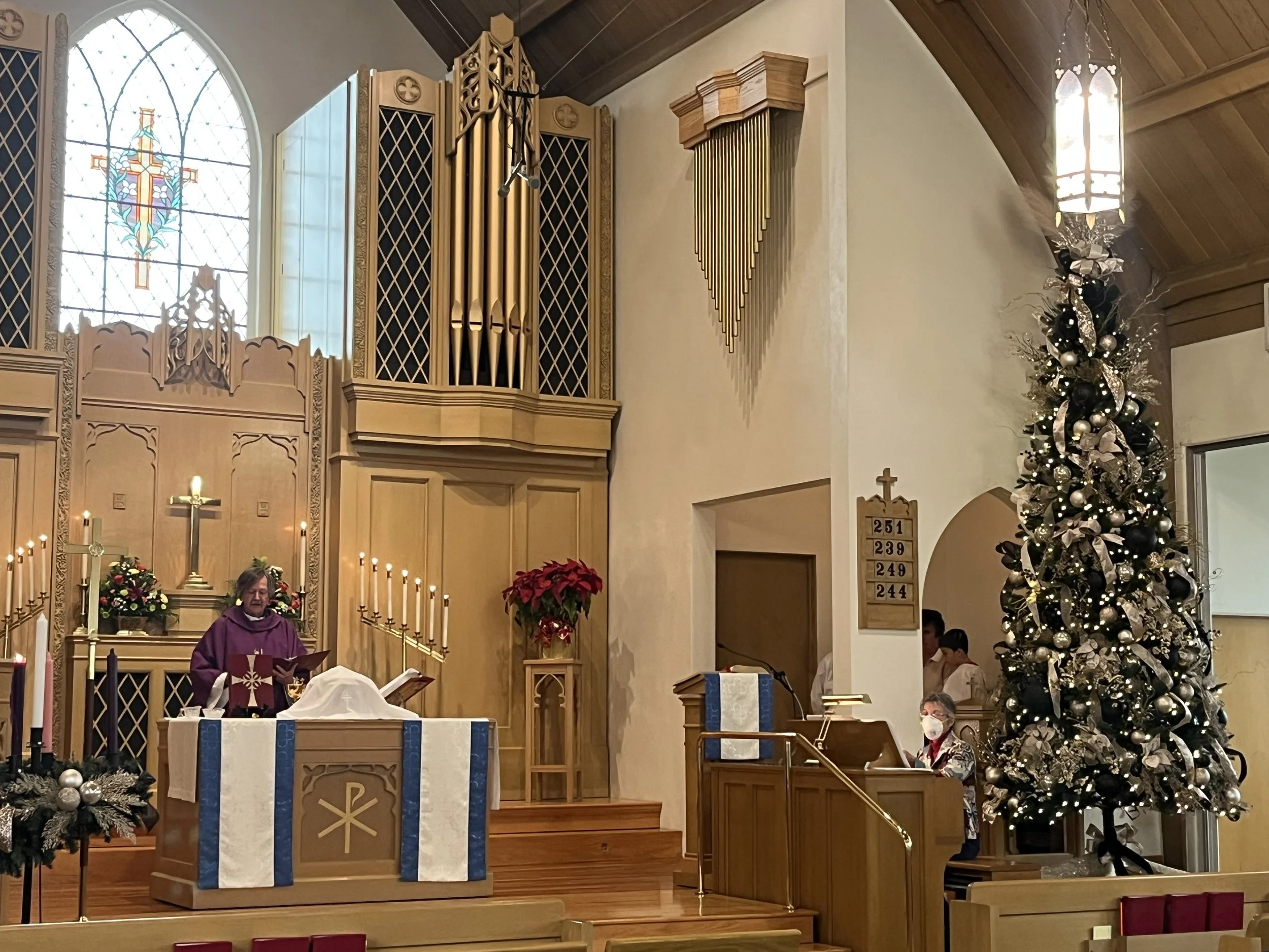 Christmas in the Sanctuary