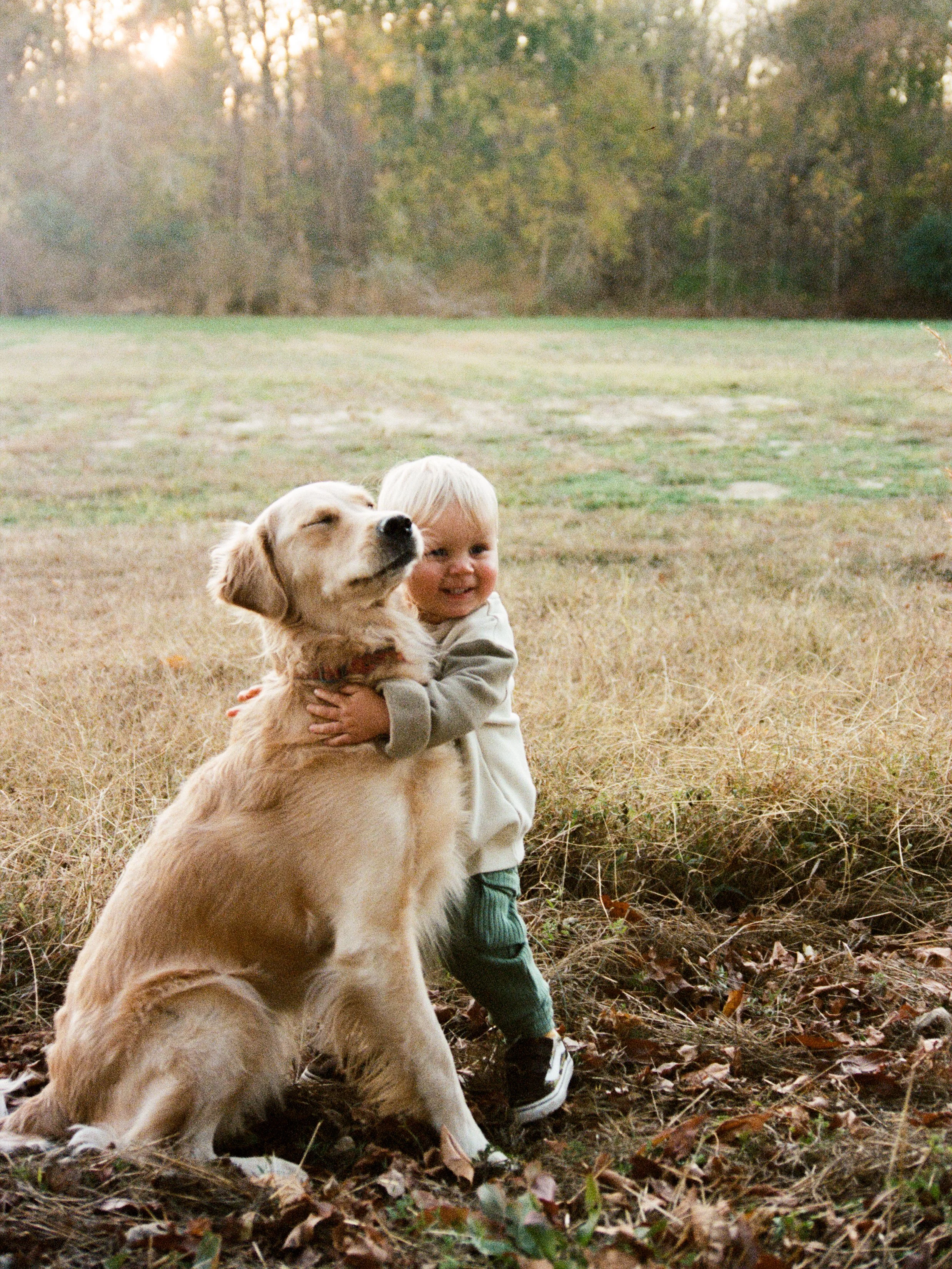 A young boy hugging a golden retriever dog outdoors in a grassy area with trees in the background during sunset.