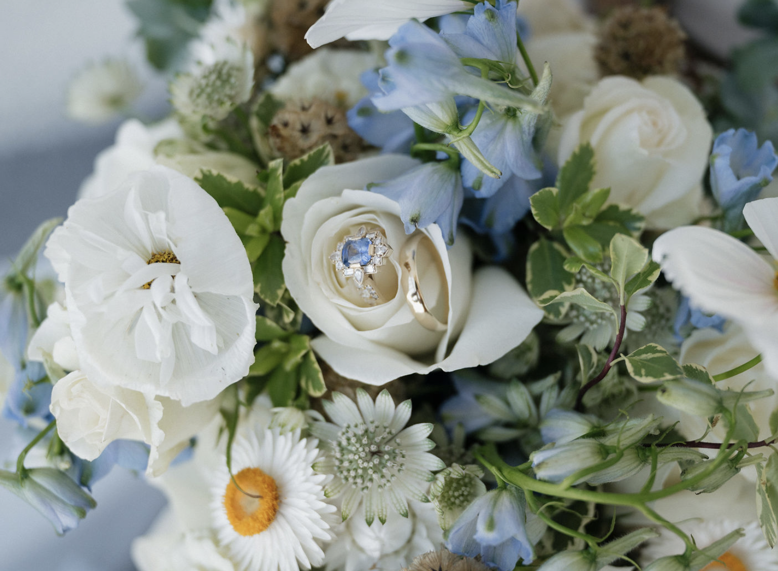 Screenshot 2026-01-12 at 9.25.55 AM.png