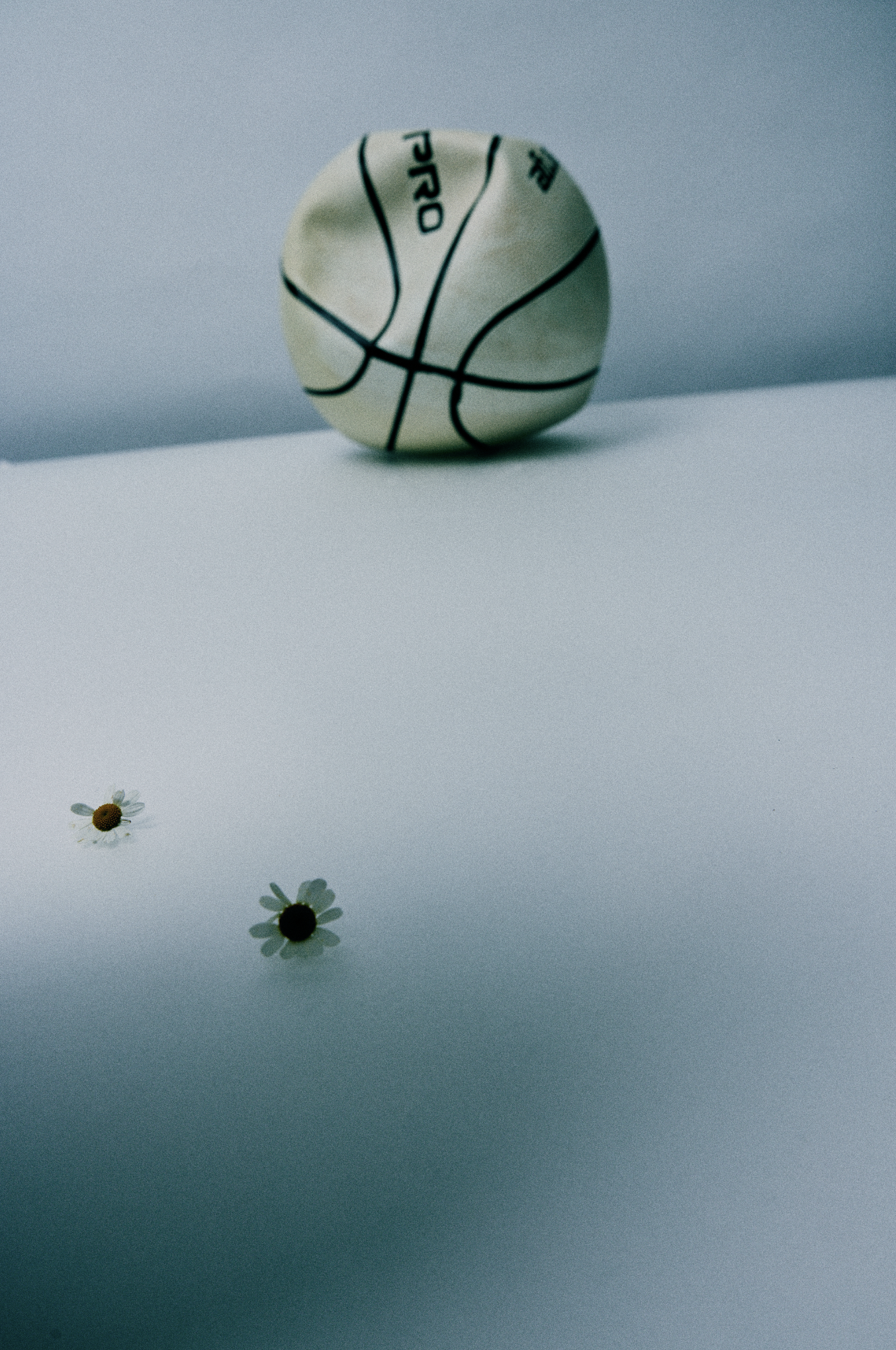 Screenshot 2026-02-15 at 2.23.42 PM.png