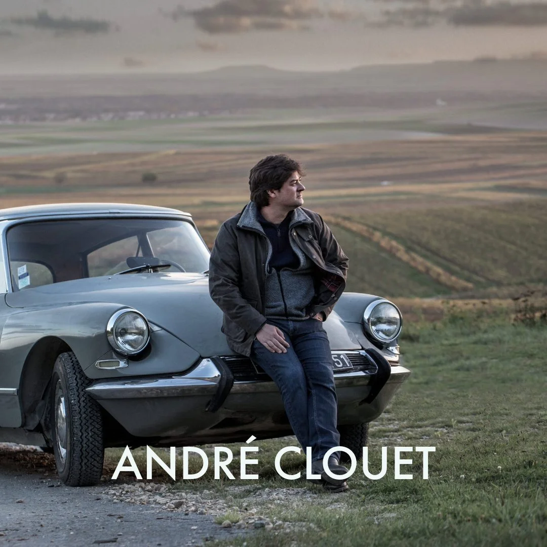 champagne producers-2.jpeg