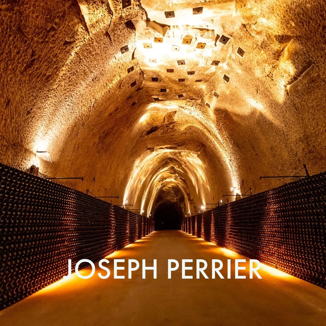 champagne producers-6.jpeg