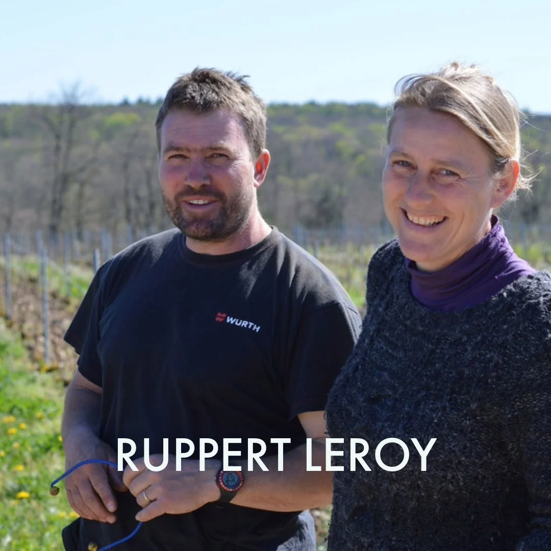 champagne producers-8.jpeg