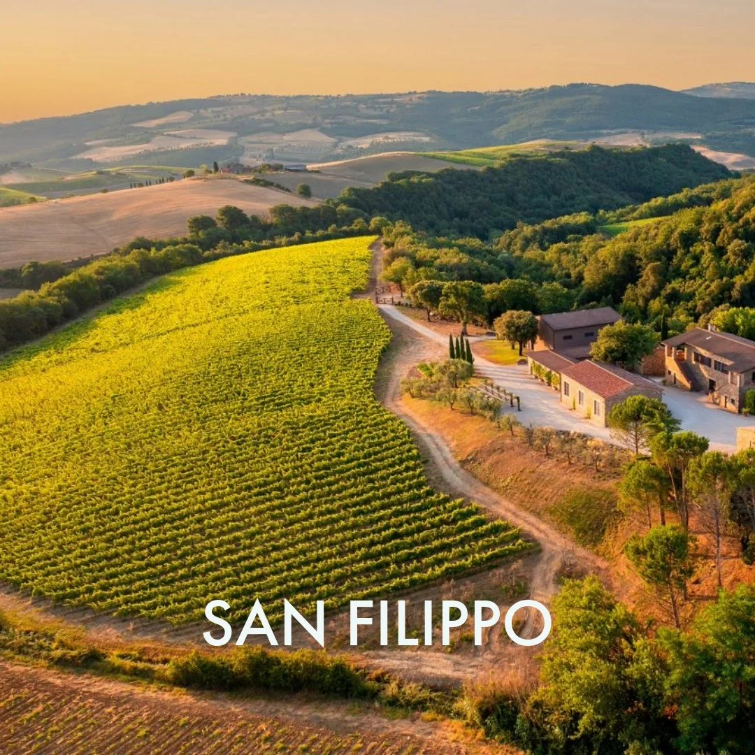 Montalcino-9.jpeg