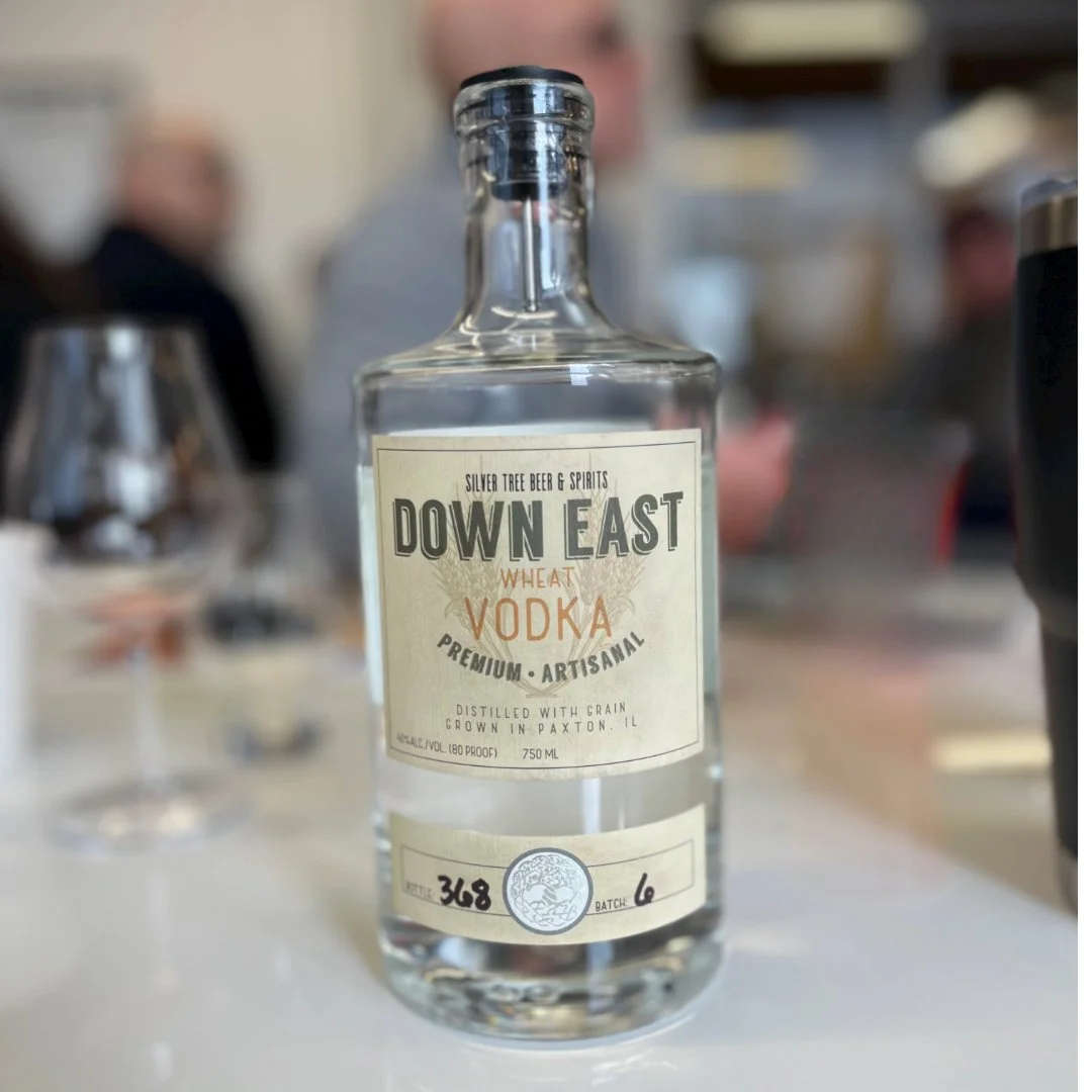 Los Valores + Silver tree-5.jpeg