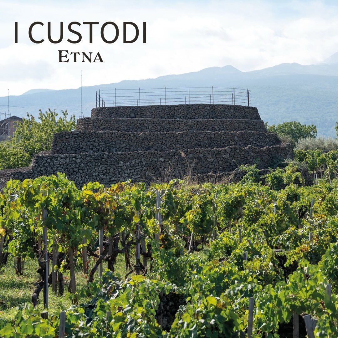 Highlights from our Sicilia: Lava Hot Wines theme this month include tried and true favorites like Cottanera, I Custodi, and Passopisciaro, a brand new addition to the High Road lineup. From the limestone-dominant vineyards of Val di Noto to the ashy