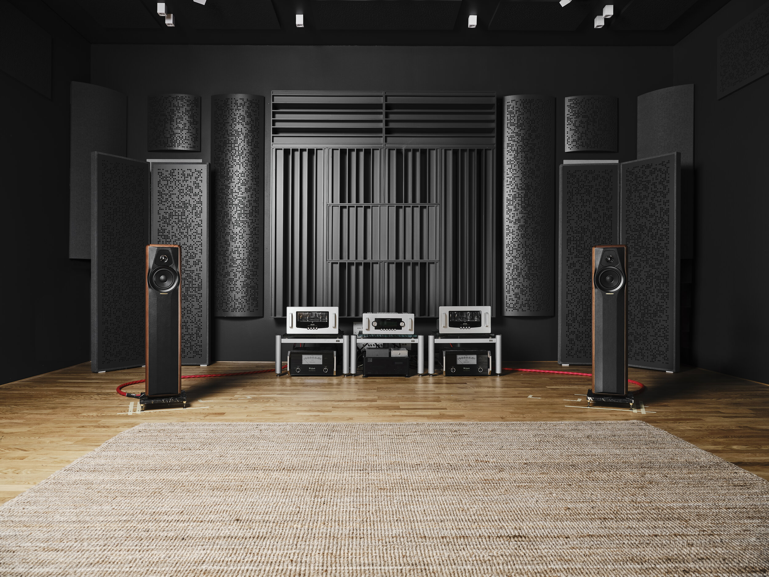 MAXIMA_SONUS FABER_12694.jpg