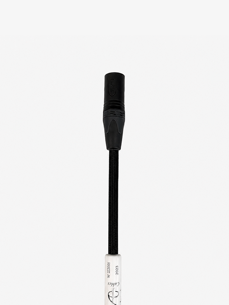 ABSOLUE TIM-ESSENTIEL Digital XLR AES:EBU.png