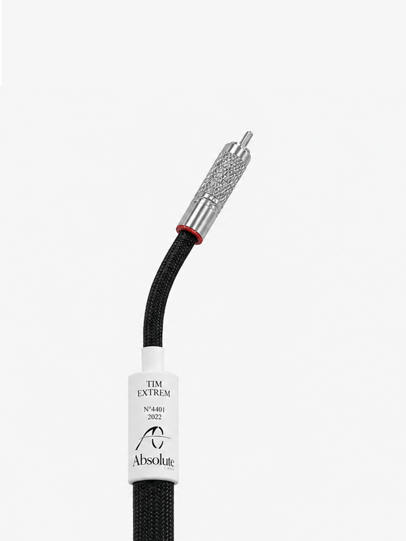ABSOLUE TIM-ABSOLUE Digital RCA SP/DIF