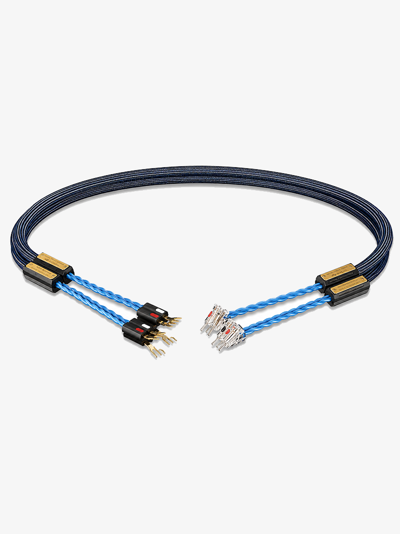 Siltech Royal Single Crown LS (WBT-0610Ag)