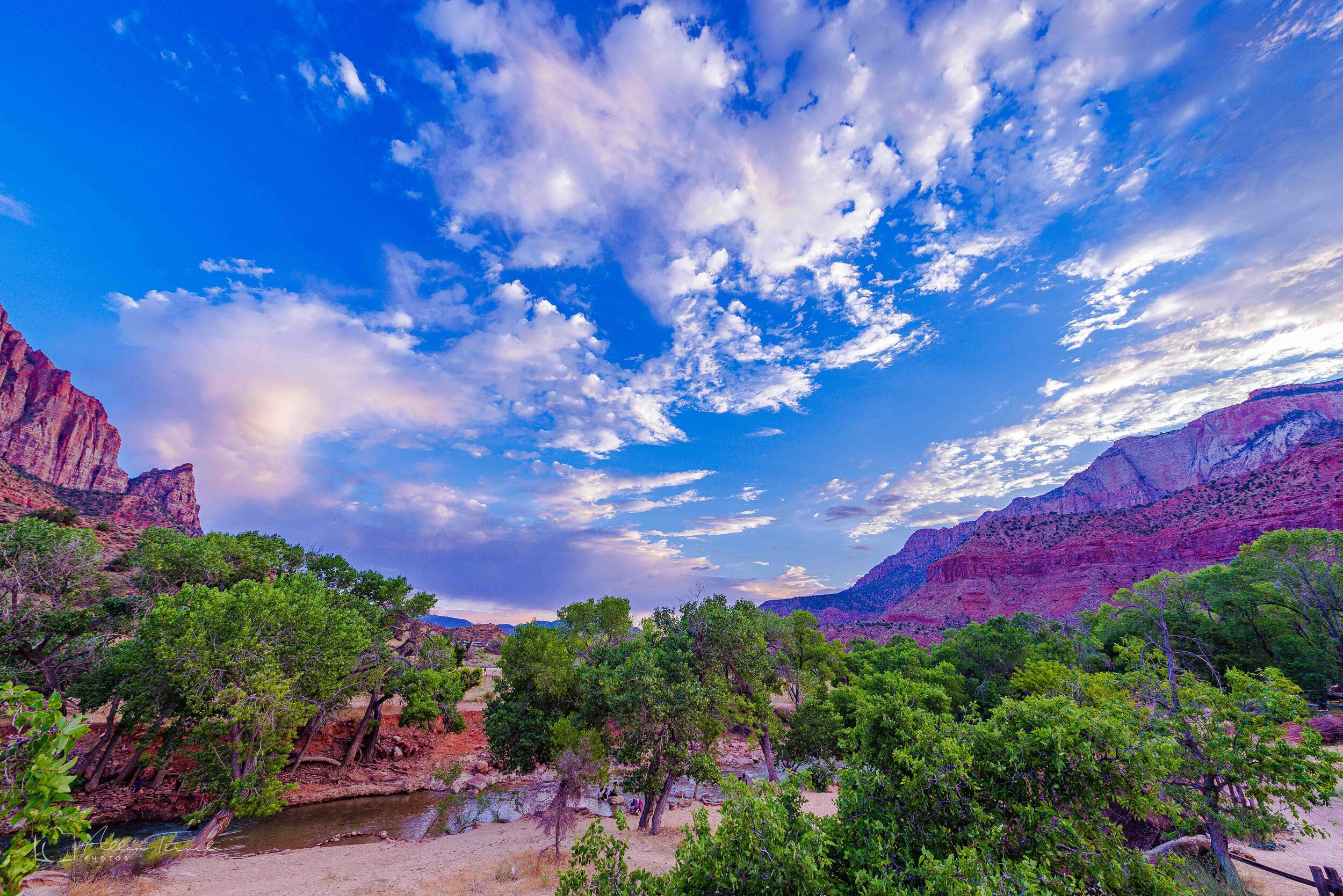 zion-2.jpg