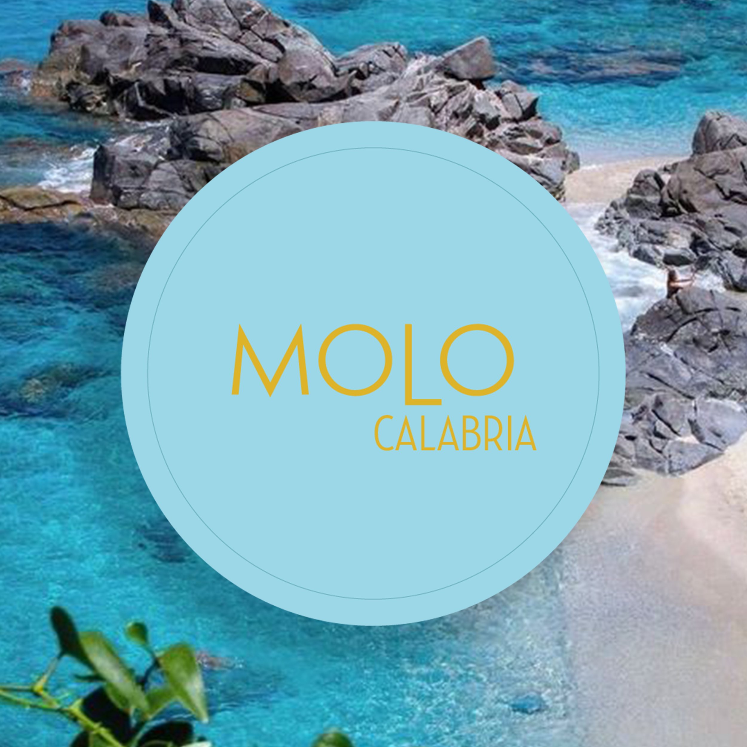 MOLO Calabria logo and background.jpg