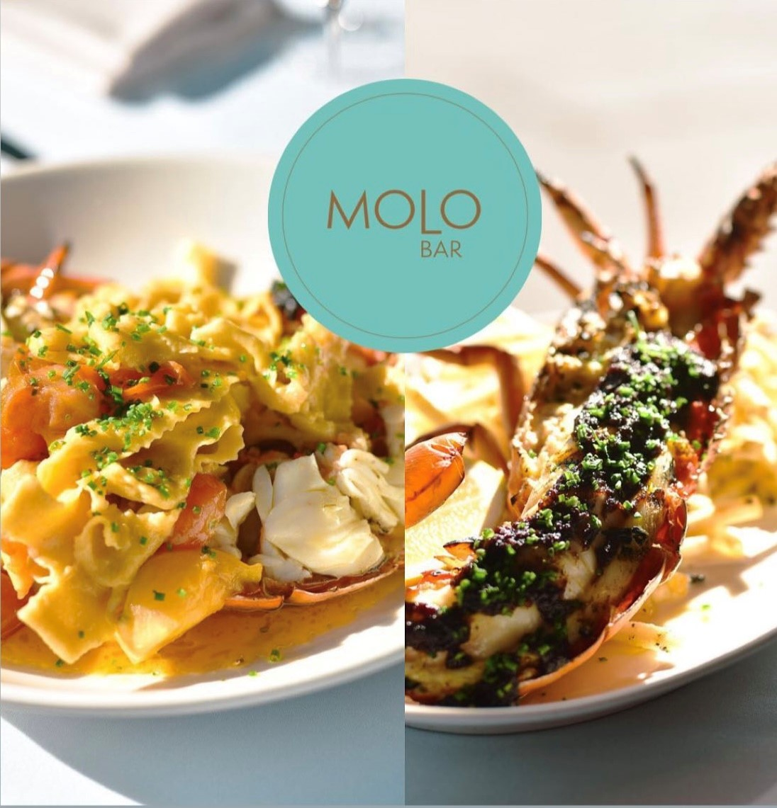 Spring is Lobster at MOLO