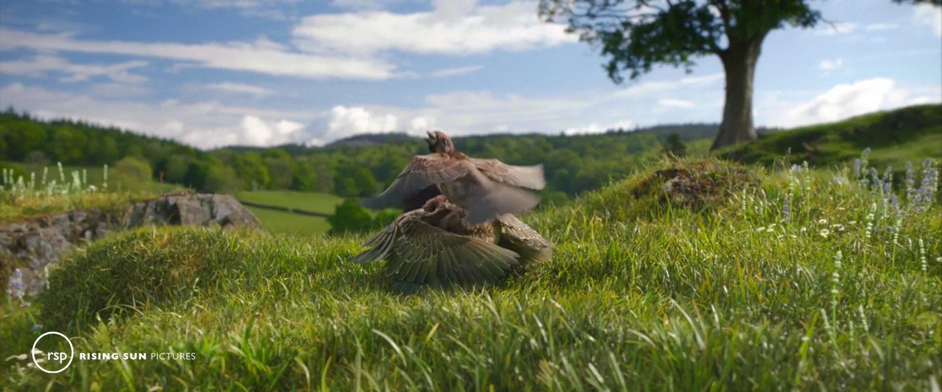 Peter Rabbit - 2018