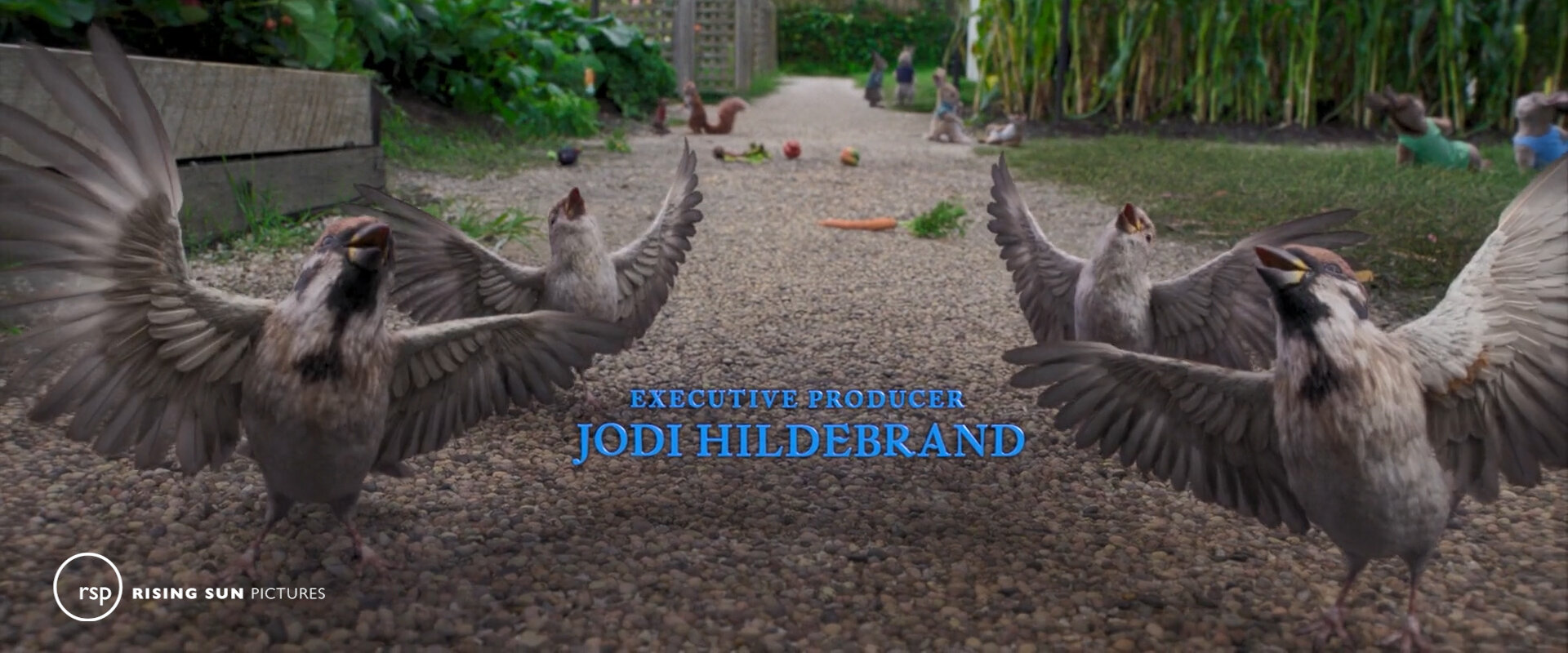 Peter Rabbit - 2018