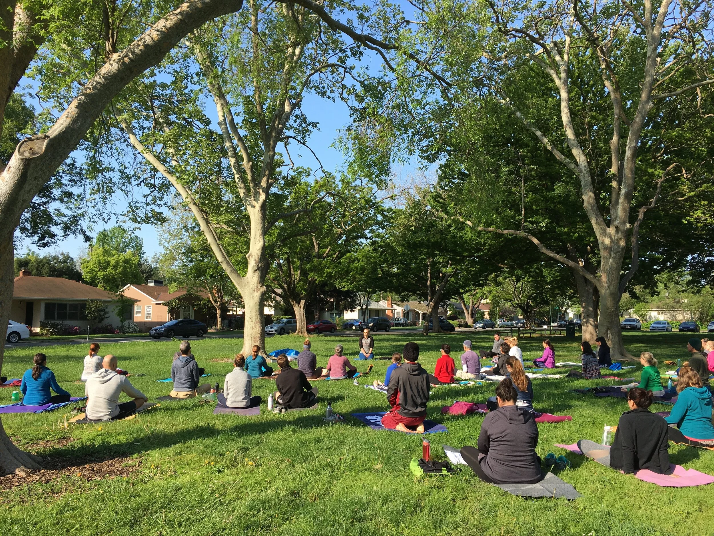 Yoga Moves Us