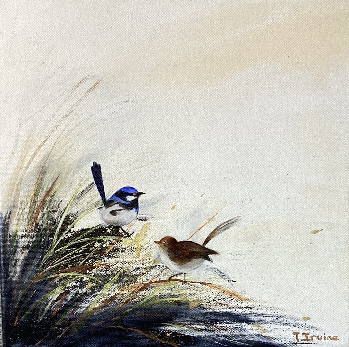 TrevorIrvine Pair of Wrens.jpeg