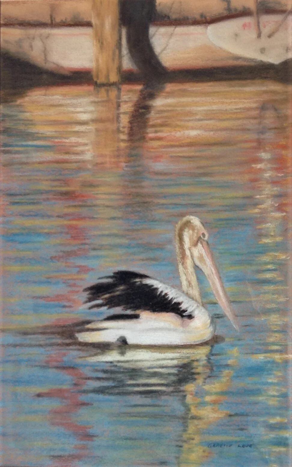 Pelican.jpg