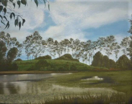 Lake Macdonald – Noosa Botanic Gardens