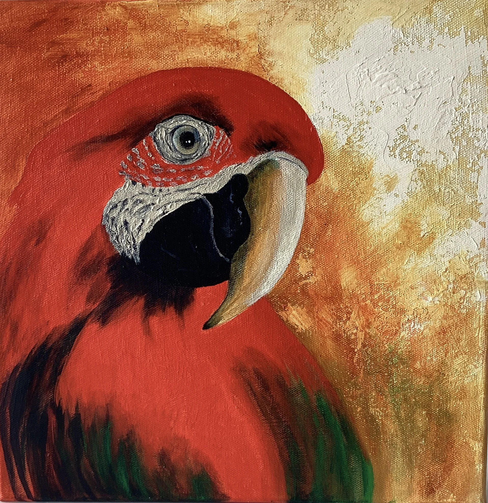 TrevorIrvine Red Macaw.jpeg