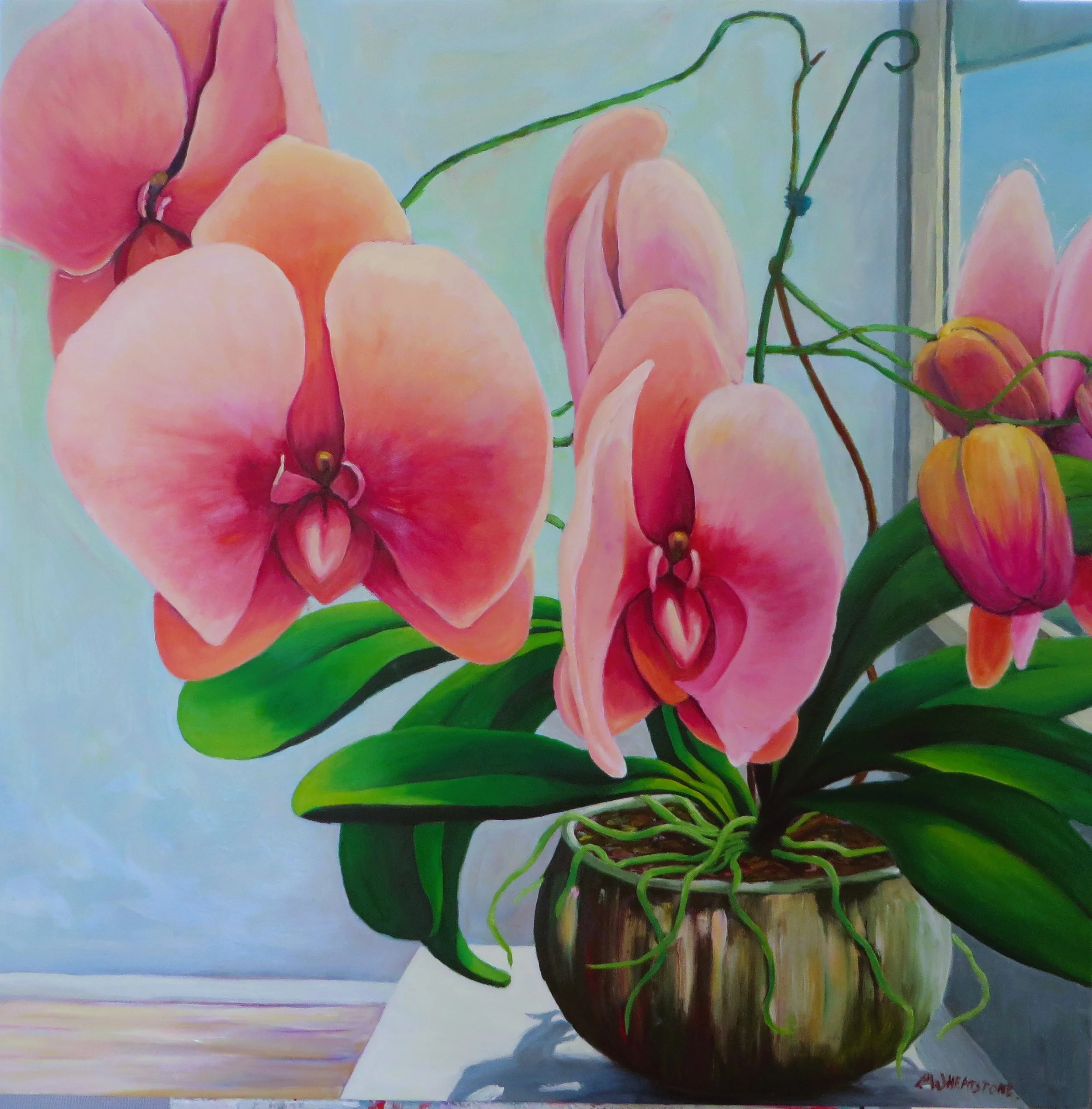 SOLD Phanaeopsis Pink, oil painting by Patricia Wheatstone