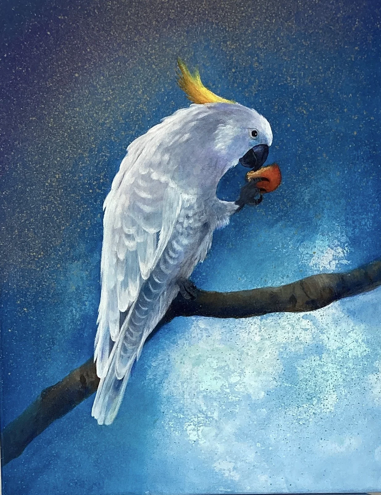 TrevorIrvine White Cockatoo.jpeg